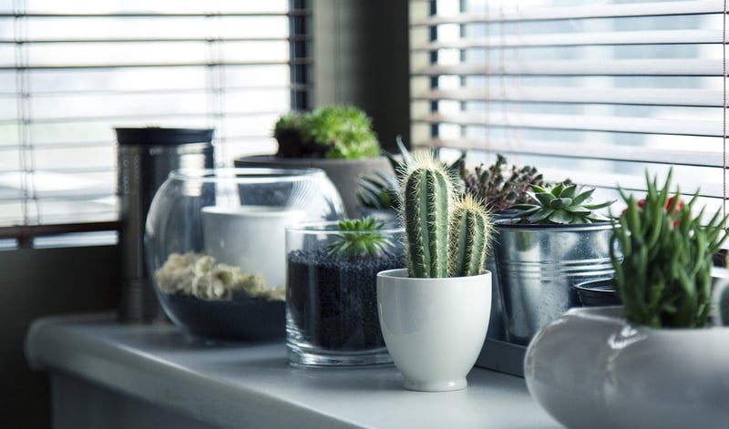 Vertical Garden Shelves
